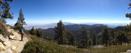 Past the fern forest and almost to Wellman's Divide. Dad takes in the view.