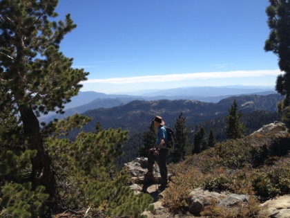 Dad looking out over Wellman's Divide.