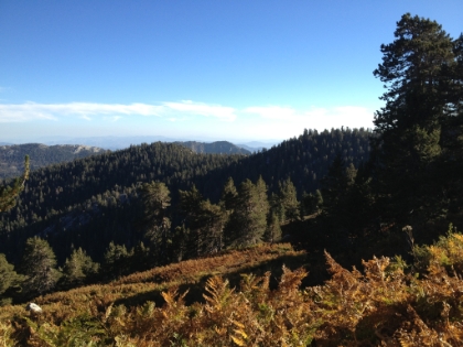 Heading back down through Wellman's Cienaga. The late afternoon lighting made the colors even more interesting.
