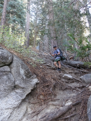 Once you get past the first couple miles, this trail gets steep and technical! All of the knee high steps with the packs on are definitely a workout.