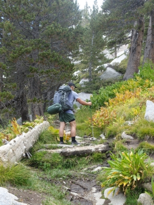 Not much water in this extremely dry year, but there are still occasional wet patches with plenty of green.