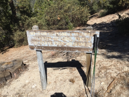 To get to the trailhead of the Seven Pines trail, you take a little road off the highway to a tiny winding road to a rugged dirt road. It definitely seems to keep the trail from getting too crowded! It was clear from the beginning that this trail doesn't get much traffic. The only person I saw the entire time was a volunteer ranger.