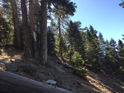 Perfect singletrack. Fairly easy to follow most of the way, but always rugged looking.