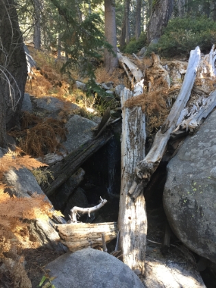 There were a couple small streams with water still flowing.