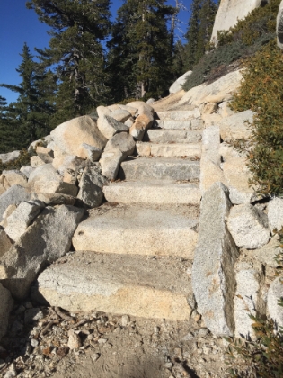 Looks like there was a lot of work done along the PCT here recently. I little too much work for my taste.