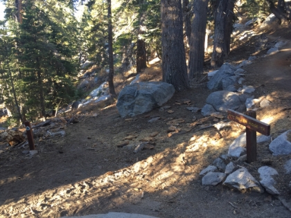 I had some time to spare, so I decided to head down the PCT on the Fuller Ridge trail for a little ways.