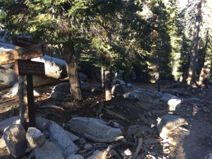 Made it to the top of the Seven Pines trail. The trail joins with a couple more heavily trafficed trails, and I start to see people again.