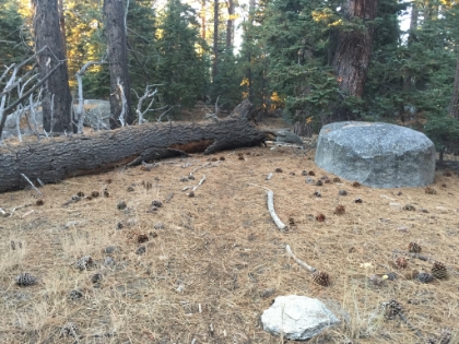 I hit my turnaround time and started to head back. I was having a harder time following the Seven Pines trail going downhill in the late afternoon light. At some point (not here), I completely lost the trail. It just turned a corner and then vanished. The andrenaline definitely started to kick-in when I realized I was probably going to be late getting down, I had to pickup the kids at a certain time, and I had no way of letting them know I would be late. After about 20-30 minutes of searching, I finally stumbled across the trail further down and was back on my way.