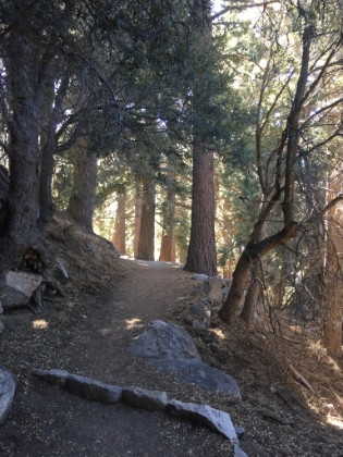 The Devil's Slide trail is a little too wide and too busy for my taste, but it's still a pretty area.