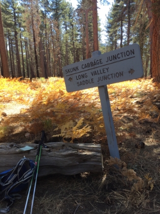 Made it to the next junction, time for a break.