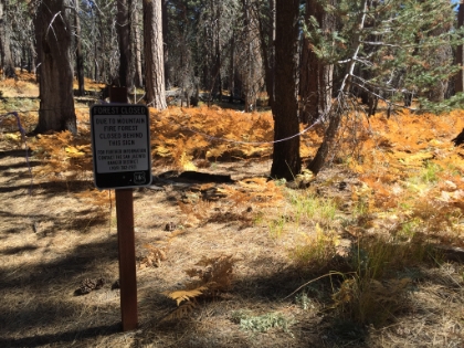 My plan had been to hike out to Caramba Outlook, but evidently that entire area is still closed due to the big 2013 fire. I had no idea. I was tempted to continue on anyway, and did scout out the trail for a little ways. But it quickly became tough to follow, so I decided against it. Probably a good thing too as I ran into a ranger shortly after who was checking permits. Clearly they are keeping a close eye on this area. He said it will likely be another 2-3 years before they have the trail open again.