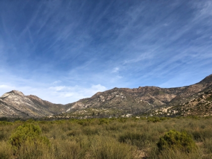 Defintiely very different terrain than my last several San Jacinto hikes. Much more of a high desert feel. But I found it to be beautiful.