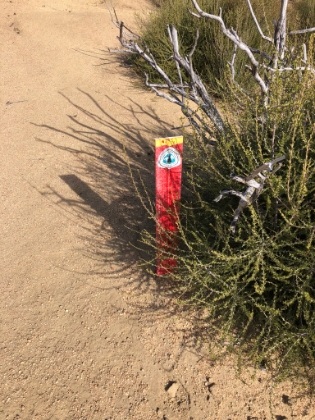 This trail is an emergency detour for the PCT since a section of the PCT has been closed for the last few years due to fire damage.