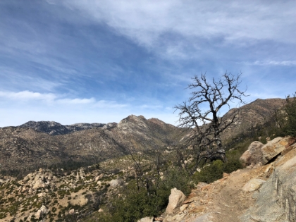 Nice rugged single track with expansive views.