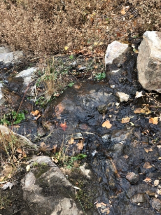 Amazingly, there was actually still a stream flowing here.