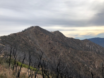 Almost to the ridge.