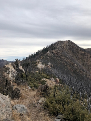 Heading up the PCT towards Spitler Peak.