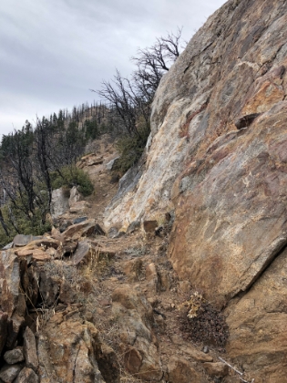 This is an awesome, hardly used, section of the PCT. I haven't seen a single human so far.