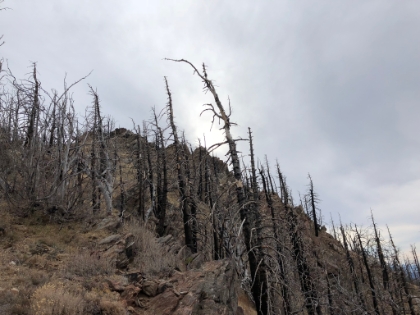 The last bit to the top is a steep scramble up faint use trails.