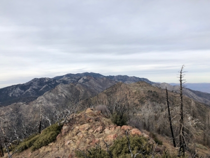The view towards San Jacinto from Spitler Peak. The wind is howling and it's freezing. Probably low 40s or high 30s. It's been so warm lately, that I forgot December at 7,500' can get cold!