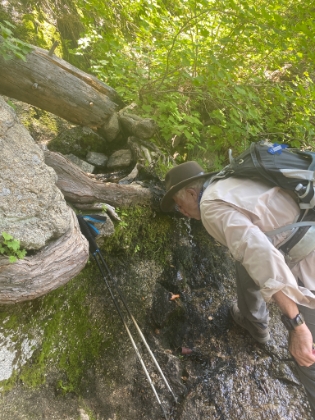 Dad drinking from a little stream. We had multiple warnings about a snake in the area. Too bad we didn't see it. I hope the water isn't contaminated with COVID!