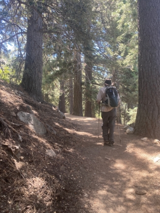 Almost up to Saddle Junction.