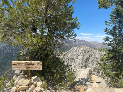 After Saddle Junction, I headed out on my own for a while. I inadvertently ended-up on the way to Tahquitz Peak, so I decided to tag the peak while I was close.