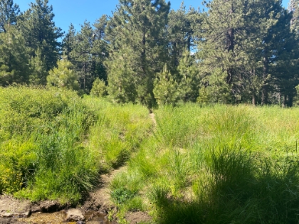 Heading down into Tahquitz Valley now.