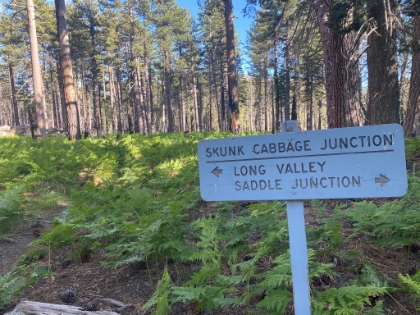 Almost back to Saddle Junction.