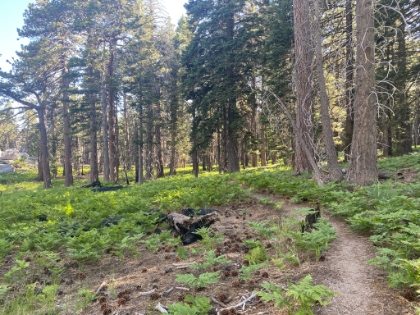 Made it back just in time to rejoin Dad.