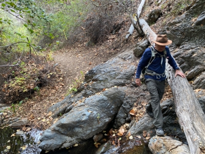 The trail past the junction out to the falls is a lot more defined than it used to be, but still involves some fun creek crossings.
