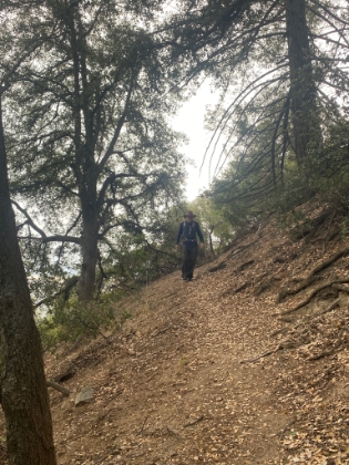 A rare bit of downhill on the way up.