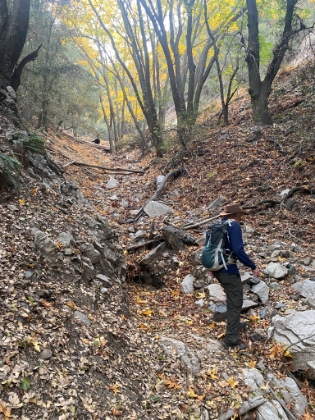 Definitely one of the best sections of trail in the area.