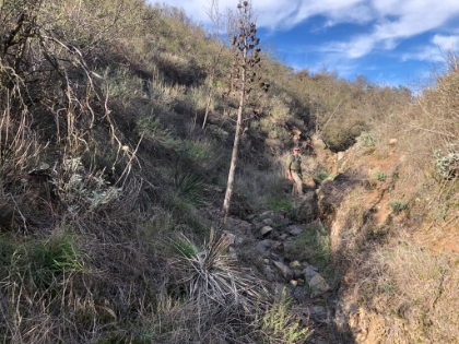 Heading back up the creek bed. End to a very memorable adventure. And it was even acknowledged by the famous Ken Croker who quite literally wrote the book on this area. It sounds like I may have been the first to reach the Lost Falls vista point since he photographed it some 30 years ago!