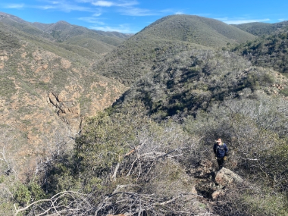 The ridge is an awesome trail, followable but rough and overgrown, just how we like it.