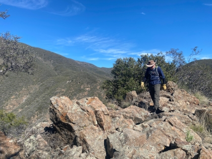 Things get a little rocky in places.