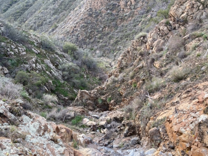 We hit a dead end where the creek hits a 20-30ft dropoff. There was supposed to be some sort of trail, or at least a faint path, leading up the slope to the ridge on the right. But after much searching, we couldn't find it, and decided to head back.