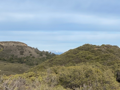 Snow capped Mt. Baldy in the distance.
