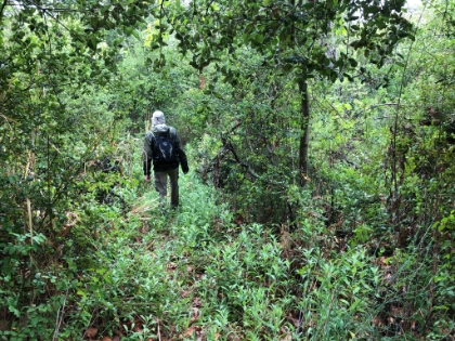 The trail is just gone. We'll have to come back and attack it from the other direction next time. Time to start heading back now.