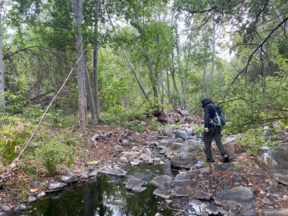 It's a heavy drizzle as we start out with the only creek crossing.