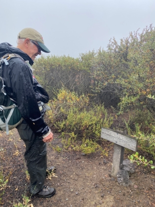 Some cool, old signs along the way.