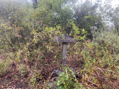 Made it to the bottom of the canyon, and things are really starting to get overgrown. Awesome!