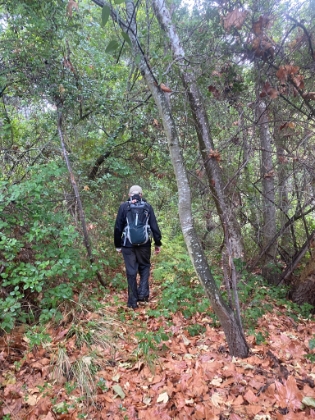 The trail is getting hard to follow, but it's beautiful down here.