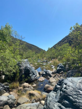 It seemed like we must be getting really close to the Indian Potrero trail, but we were getting short on time and still hadn't made it. So, we decided to stop here.