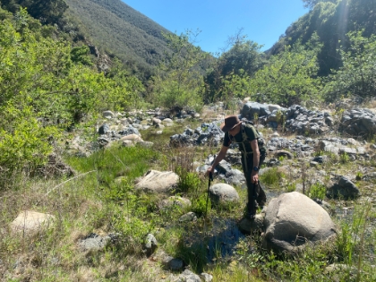 A creek crossing on the way back.