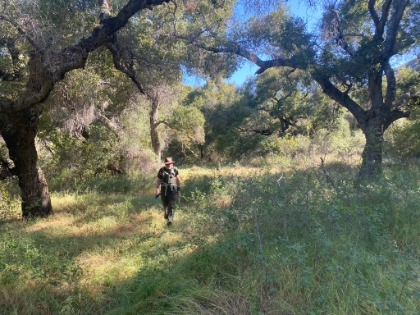 The trail gets a little hard to follow in places, which makes this area of oak and meadow all the better.