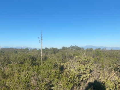 Baldy and Gorgonio in the same photo, not too many places where you can do that.