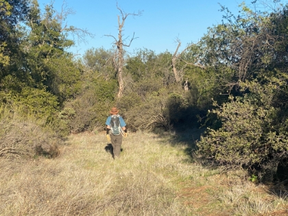 Starting to get up into the patches of meadow.