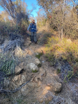 It's overgrown and technical in places. Perfect!