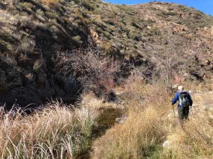 Trail was a little overgrown in places, but never too hard to follow.